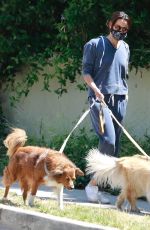 AUBREY PLAZA Walks Her Dogs Out in Los Feliz 06/13/2020