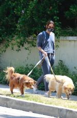 AUBREY PLAZA Walks Her Dogs Out in Los Feliz 06/13/2020