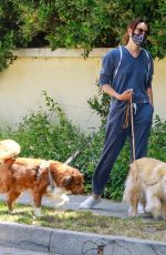 AUBREY PLAZA Walks Her Dogs Out in Los Feliz 06/13/2020
