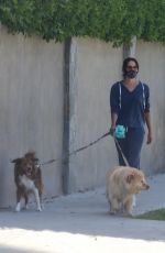 AUBREY PLAZA Walks Her Dogs Out in Los Feliz 06/13/2020