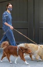 AUBREY PLAZA Walks Her Dogs Out in Los Feliz 06/13/2020