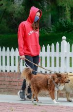 AUBREY PLAZA Wearing a Red Hoodie Out With Her Dogs in Los Feliz 06/28/2020