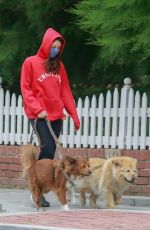 AUBREY PLAZA Wearing a Red Hoodie Out With Her Dogs in Los Feliz 06/28/2020