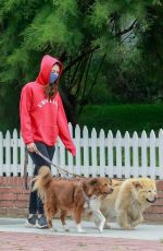 AUBREY PLAZA Wearing a Red Hoodie Out With Her Dogs in Los Feliz 06/28/2020