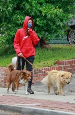 AUBREY PLAZA Wearing a Red Hoodie Out With Her Dogs in Los Feliz 06/28/2020