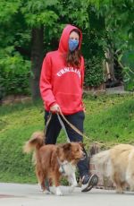 AUBREY PLAZA Wearing a Red Hoodie Out With Her Dogs in Los Feliz 06/28/2020