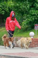 AUBREY PLAZA Wearing a Red Hoodie Out With Her Dogs in Los Feliz 06/28/2020