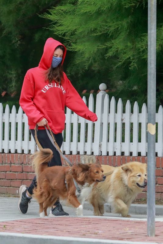 AUBREY PLAZA Wearing a Red Hoodie Out With Her Dogs in Los Feliz 06/28/2020