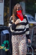 DAKOTA JOHNSN Out Shopping in Malibu 06/28/2020