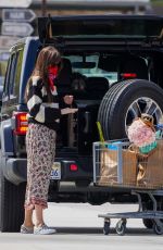 DAKOTA JOHNSN Out Shopping in Malibu 06/28/2020