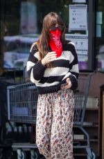 DAKOTA JOHNSN Out Shopping in Malibu 06/28/2020