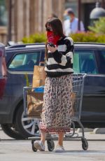 DAKOTA JOHNSN Out Shopping in Malibu 06/28/2020