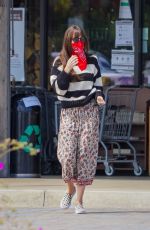 DAKOTA JOHNSN Out Shopping in Malibu 06/28/2020