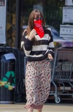 DAKOTA JOHNSN Out Shopping in Malibu 06/28/2020