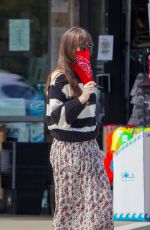 DAKOTA JOHNSN Out Shopping in Malibu 06/28/2020
