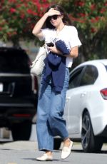 DAKOTA JOHNSON Out and About in Los Angeles 06/19/2020