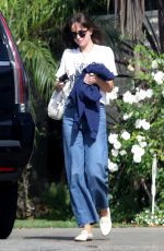DAKOTA JOHNSON Out and About in Los Angeles 06/19/2020