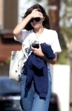 DAKOTA JOHNSON Out and About in Los Angeles 06/19/2020