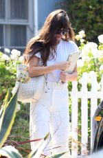DAKOTA JOHNSON Out and About in Los Angeles 06/25/2020