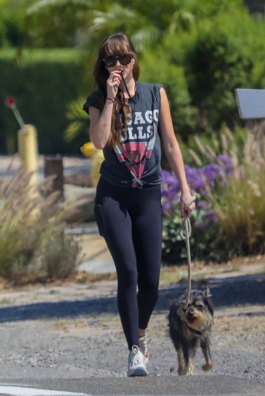DAKOTA JOHNSON Out with Her Dog in Malibu 06/26/2020