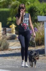 DAKOTA JOHNSON Out with Her Dog in Malibu 06/26/2020