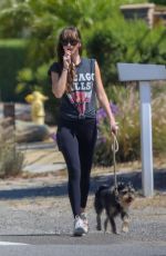 DAKOTA JOHNSON Out with Her Dog in Malibu 06/26/2020