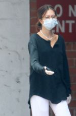 DELILAH HAMLIN Wearing a Mask Out in Beverly Hills 06/01/2020