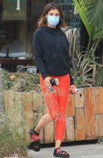 ELISABETTA CANALIS Out and About in Los Angeles 06/24/2020