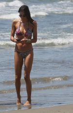 ELISABETTA GREGORACI in Bikini at a Beach in Miami 06/21/2020