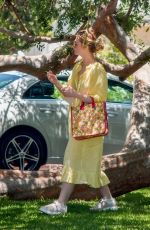 ELLE and DAKOTA FANNING at a Birthday Party in Studio City 06/15/2020