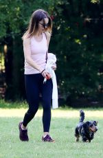 EMILIA CLARKE Out with Her Dog at a Park in London 06/23/2020