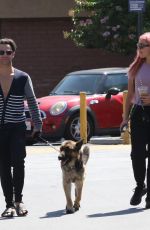 EMMA SLATER Out with Her Dogs in Los Angeles 06/14/2020