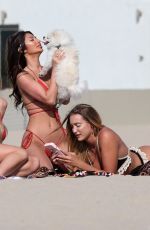 FRANCESCA FARAGO, HALEY CURETON and MADISON WYBORNY from Too Hot to Handle in Bikinis at a Beach in Los Angeles 06/26/2020