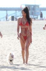 FRANCESCA FARAGO, HALEY CURETON and MADISON WYBORNY from Too Hot to Handle in Bikinis at a Beach in Los Angeles 06/26/2020