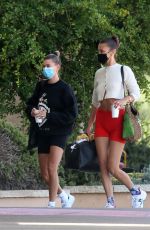 HAILEY BIEBER and BELLA HADID Arrives in Sardina 06/23/2020