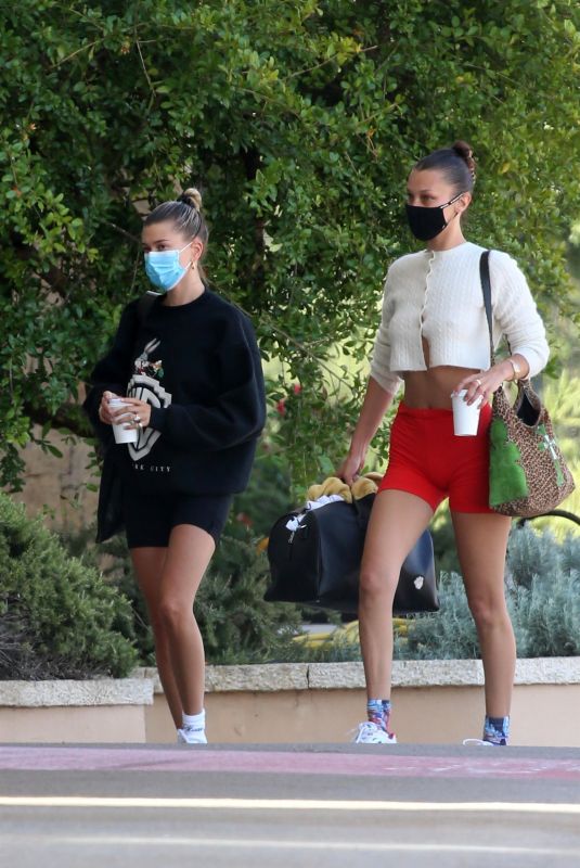 HAILEY BIEBER and BELLA HADID Arrives in Sardina 06/23/2020