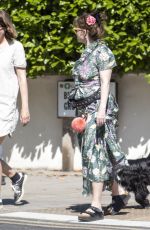 HELENA BONHAM CARTER Out with Her Dog in London 06/01/2020