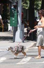 HELENA CHRISTENSEN Out with Her Dog in New York 06/14/2020