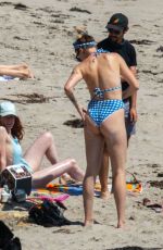 IRELAND BALDWIN in Bikini on the Beach in Malibu 06/27/2020