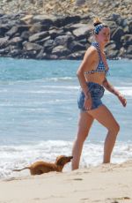 IRELAND BALDWIN in Bikini on the Beach in Malibu 06/27/2020