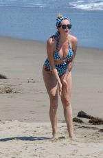 IRELAND BALDWIN in Bikini on the Beach in Malibu 06/27/2020
