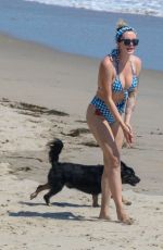 IRELAND BALDWIN in Bikini on the Beach in Malibu 06/27/2020