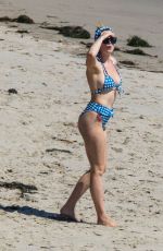 IRELAND BALDWIN in Bikini on the Beach in Malibu 06/27/2020