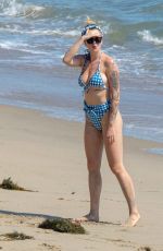 IRELAND BALDWIN in Bikini on the Beach in Malibu 06/27/2020