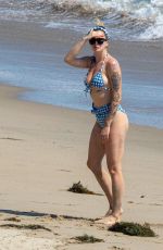 IRELAND BALDWIN in Bikini on the Beach in Malibu 06/27/2020