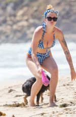 IRELAND BALDWIN in Bikini on the Beach in Malibu 06/27/2020