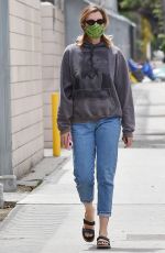 IRELAND BALDWIN Out and About in Los Angeles 06/02/2020