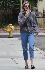 IRELAND BALDWIN Out and About in Los Angeles 06/02/2020