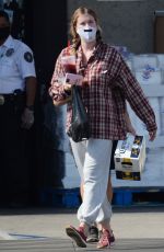 IRELAND BALDWIN Out and About in Los Angeles 06/24/2020