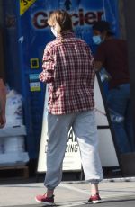 IRELAND BALDWIN Out and About in Los Angeles 06/24/2020